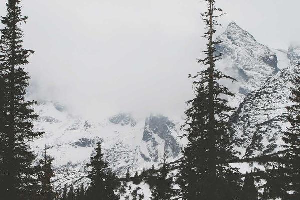 Happy Canadians using LendX